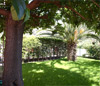 giardino del bed and breakfast